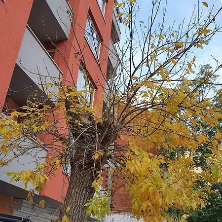 Daire Stay Inn Plovdiv