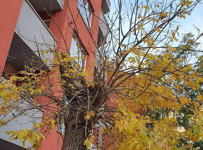 Apartamento Stay Inn Plovdiv